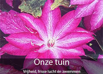 Onze tuin